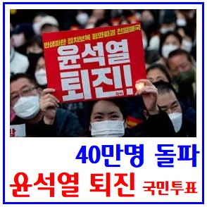  윤석열퇴진 국민투표 (ft. 40만명 돌파) : 교수시국선언, 탄핵절차, 종교계, 언제까지, 어디에서