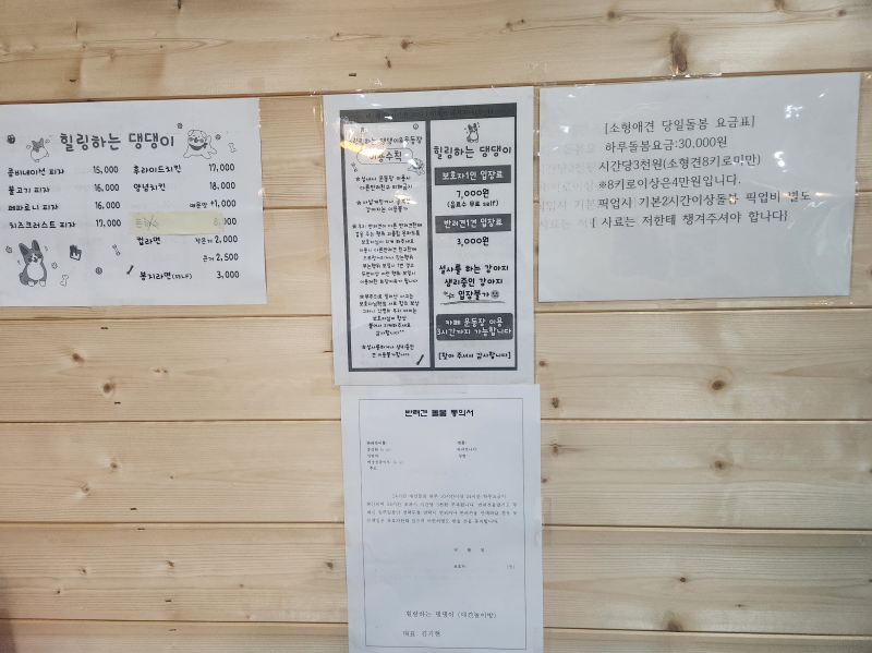 사진 4