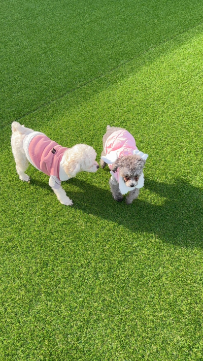 사진 8