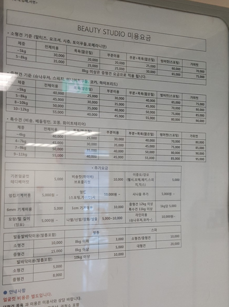 사진 2