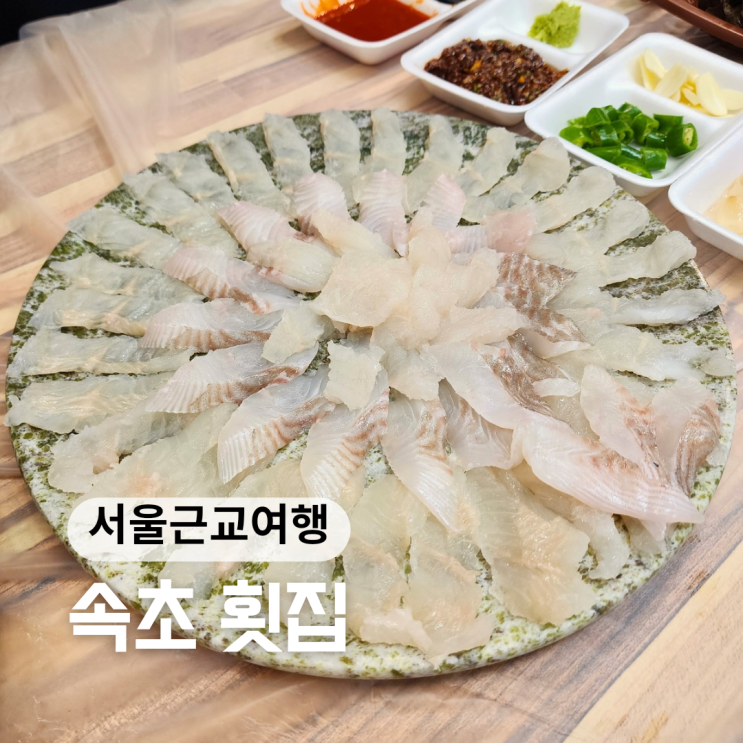  속초 대포항 횟집 ::현희네활어횟집:: 쫄깃한 자연산 전복치