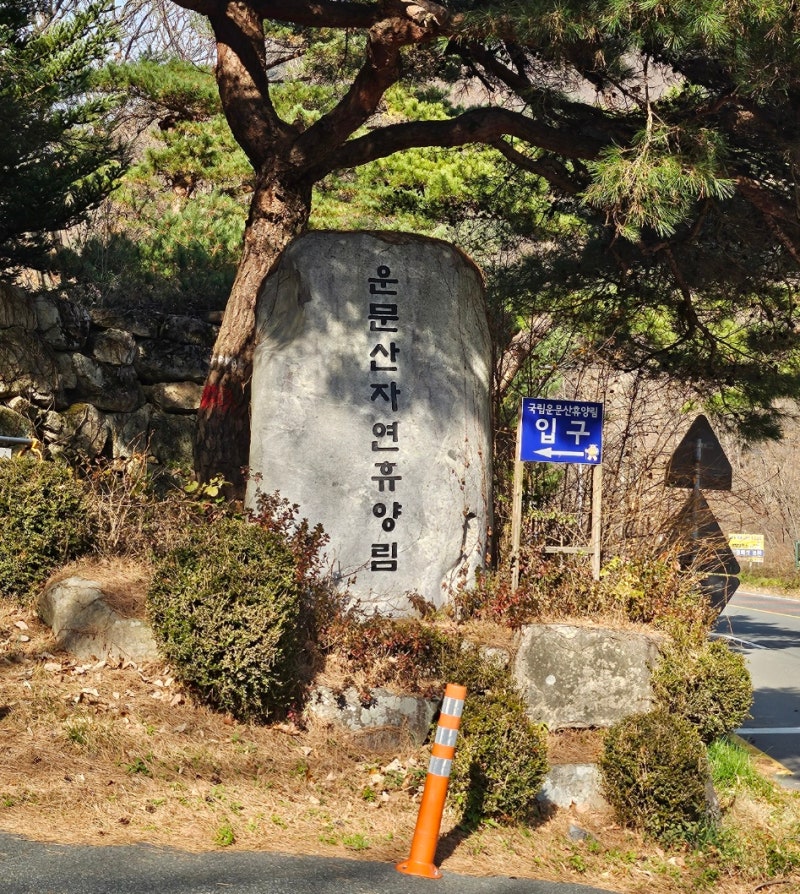 청도 운문산자연휴양림 휴양관 원추리, 금낭화 숙소후기