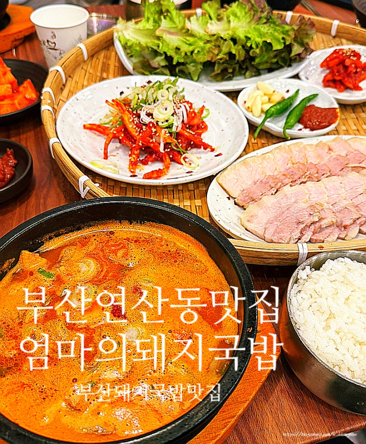  부산 연산동 맛집 '엄마의돼지국밥' 소사골 돼지국밥과 보쌈 맛집