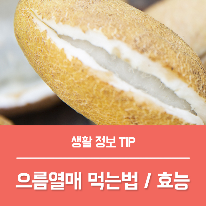  으름열매 먹는법 으름 효능 부작용 으름꽃 특징은?
