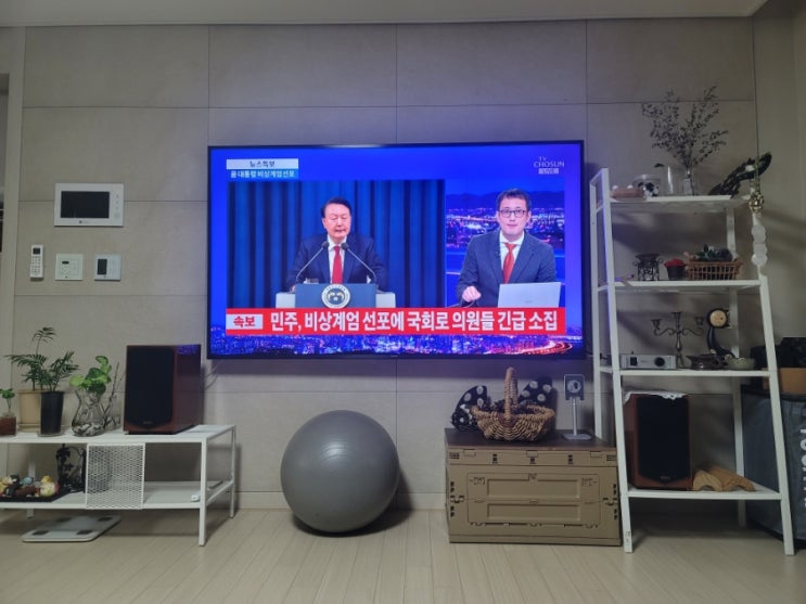  비상계엄선포, 살아 생전 이걸 보다니(내일 출근 안해요?)