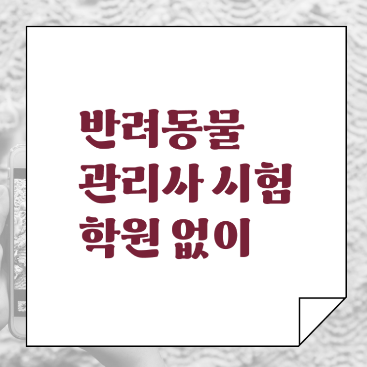 반려동물식품관리사 , 반려동물관리사 자격증 1달 만에 취득한 과정 확인