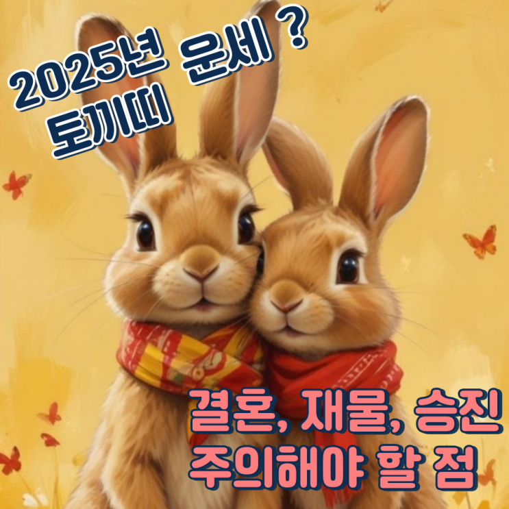 2025년 토끼띠 운세 (결혼, 재물, 승진, 주의해야 할 점)