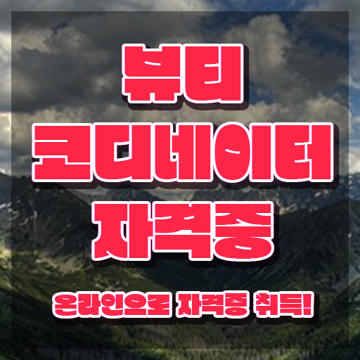 코디네이터학원 , 뷰티코디네이터 자격증 취득한 방법 확인