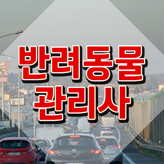  반려동물종합관리사 , 반려동물관리사 자격증 준비한 방법 궁금하다면