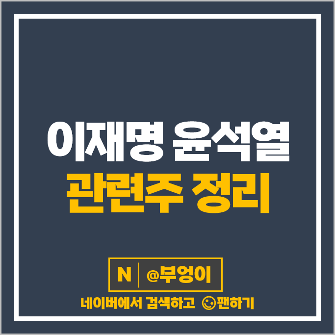 비상계엄 윤석열 이재명 관련주 대장주 정치 테마주 정리 비상계엄 윤석열 이재명 관련주 대장주 정치 테마주 정리