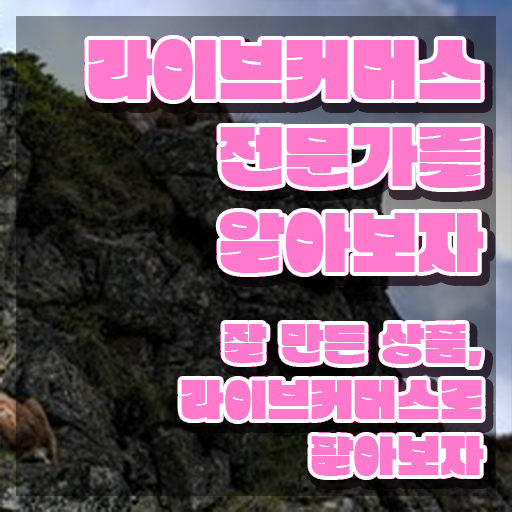  라이브커머스 쇼호스트 , 라이브커머스전문가 자격증 쉽고 간편하게 시험준비 확인해보세요