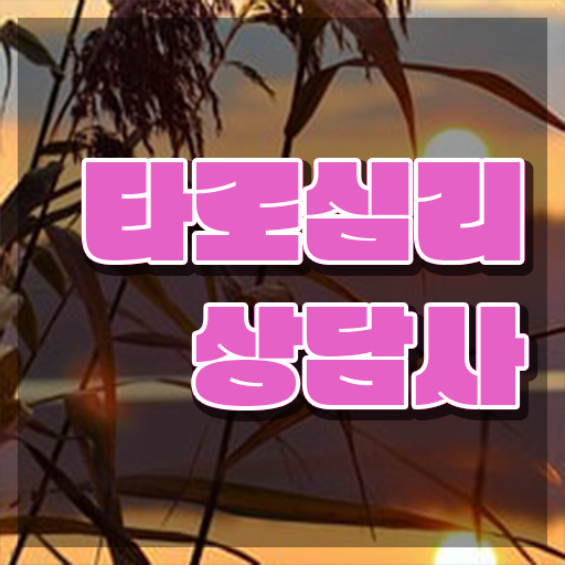  대구동성로타로 , 타로상담전문가 1달 만에 타로상담전문가 합격 후기