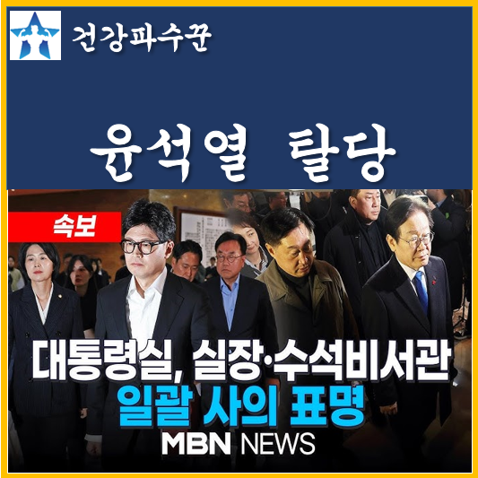 국민의힘 한동훈 윤석열 <b>대통령 탈당</b> 김용현 국방방관 처벌... 