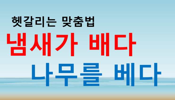  냄새가베다배다 쉽게 구분하기 스며드는 배다 도구사용 베다