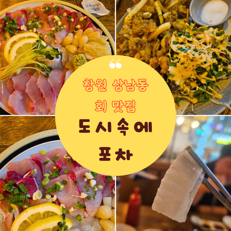  창원 상남동 방어회 맛집 단체 회식 가능한 도시속에 포차