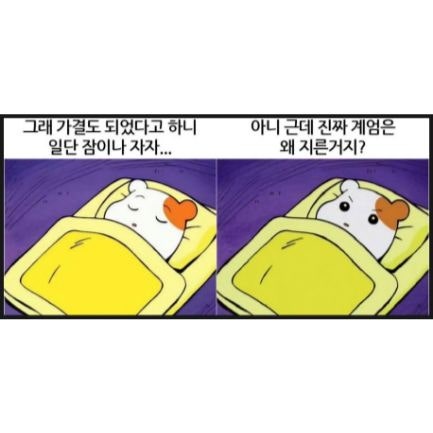  비상계엄 선포를 보면서 느낀 점과 대응 (ft. 거래소 분산, 콜드월렛)
