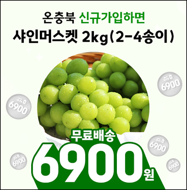 온충북 샤인머스켓 2Kg 6,900원(무배)신규 온충북 샤인머스켓 2Kg 6,900원(무배)신규