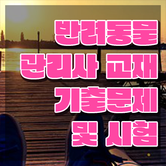  , 반려동물관리사 자격증 직장인도 쉽게 취득한 노하우 및 향후 전망