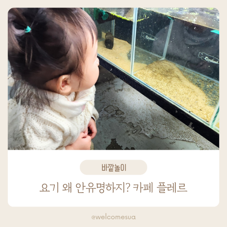  서울 아기랑 갈만한곳 노원구 아쿠아카페 플레르