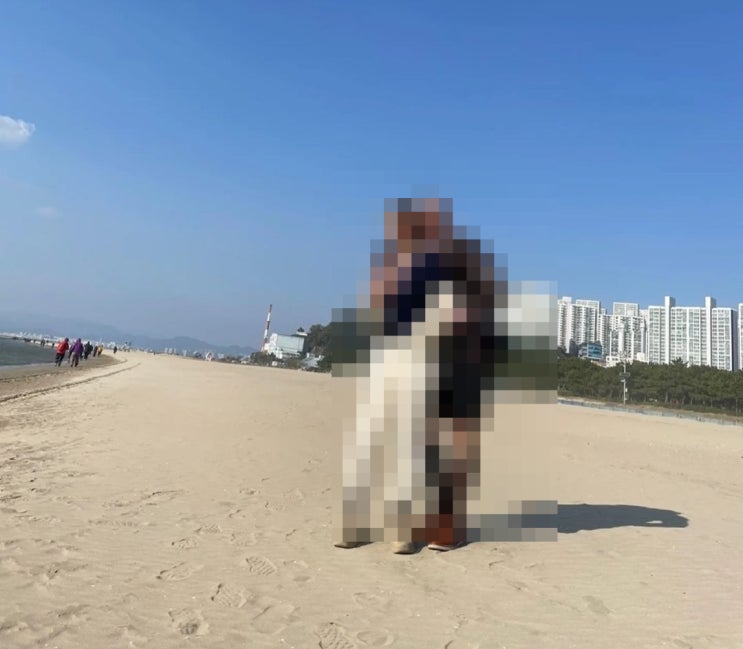  30대의 메탈 케겔볼 사용 후기