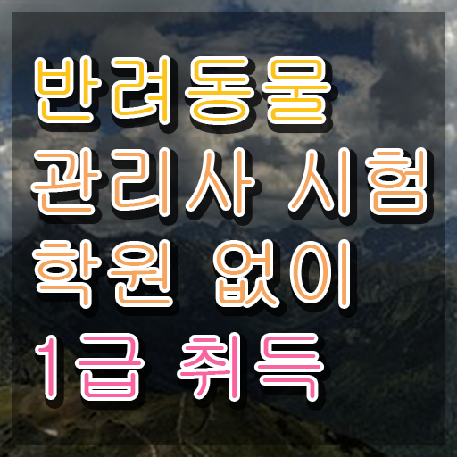  , 반려동물관리사 자격증 취득한 정보 궁금하셨다면