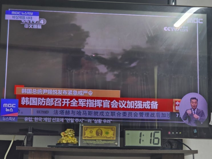 해외에서 본 한국은.<b>대통령</b> <b>탈당</b><b>요구</b>,비상계엄서 총한번쏘지... 
