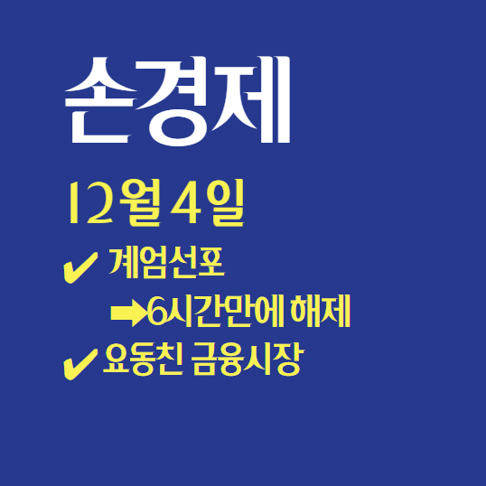  손경제 / 계엄선포에 잠설치고 / 걱정되는 금융시장