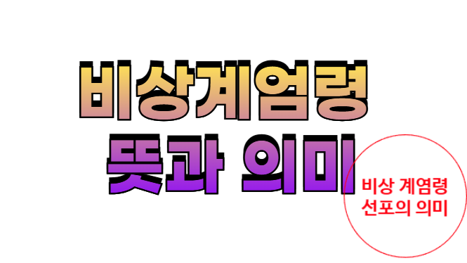  비상 계염령 정의 선포 뜻 쉽게 알아보기
