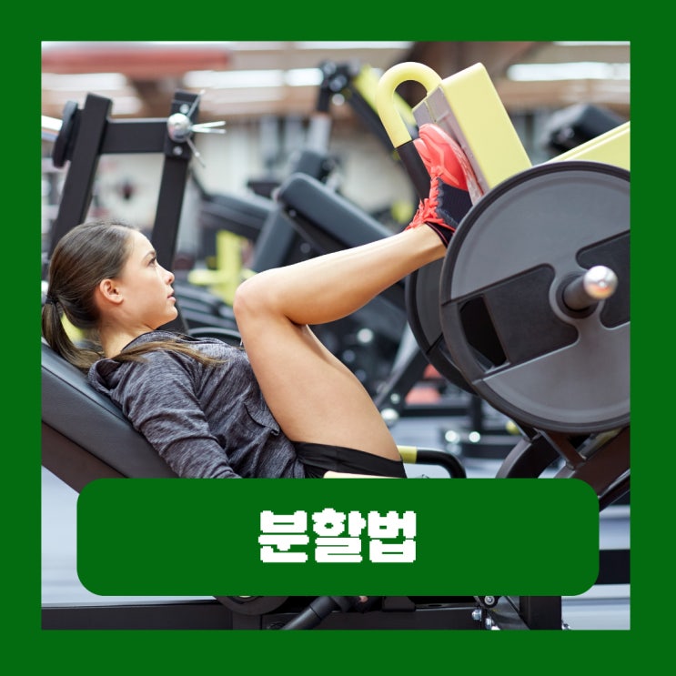 무분할 2분할 3분할 5분할 분할법 뜻 운동하는 방법