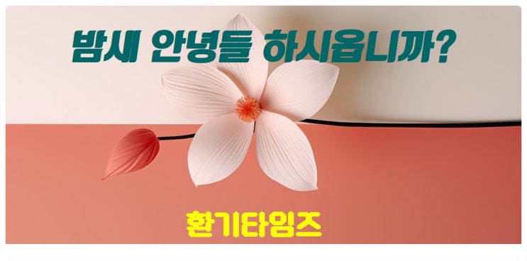 밤새 안녕들 하십니까? _환기타임즈 밤새 안녕들 하십니까? _환기타임즈
