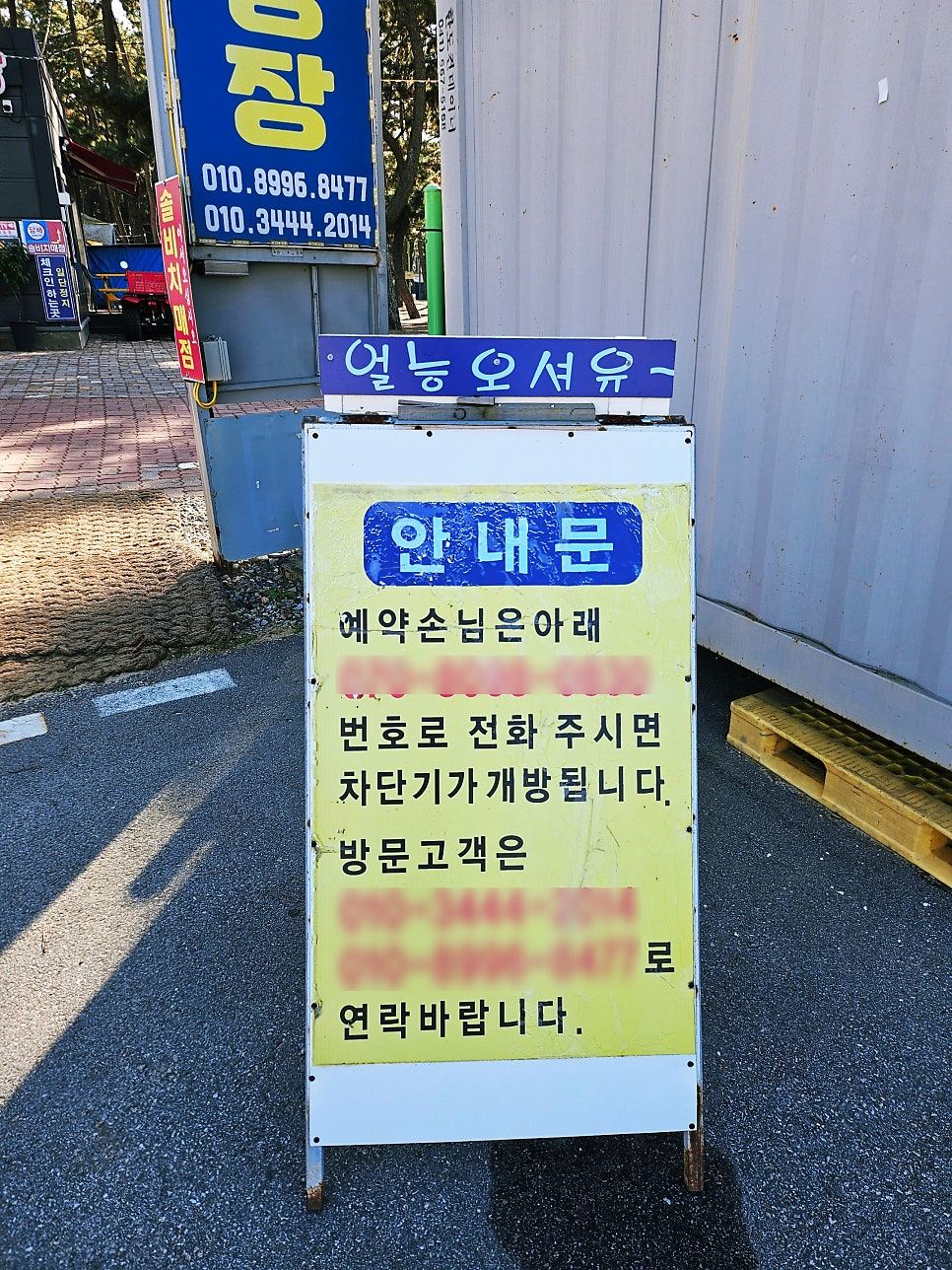 몽산포솔비치캠핑장 사진 3