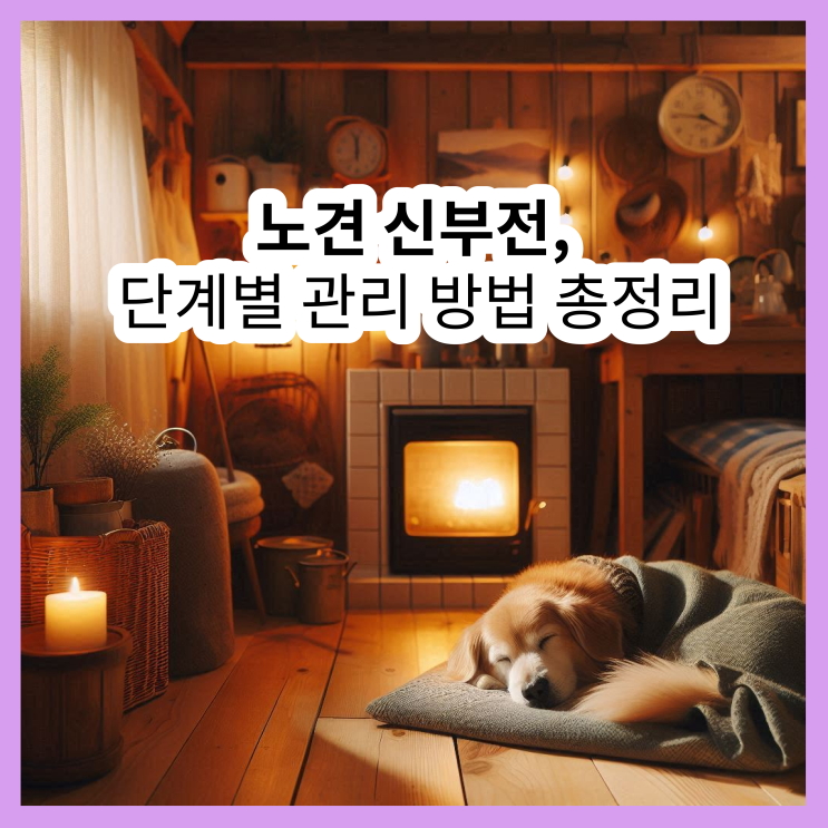  노견 신부전, 단계별 관리로 더 나은 내일 준비하기 (노령견 신부전)