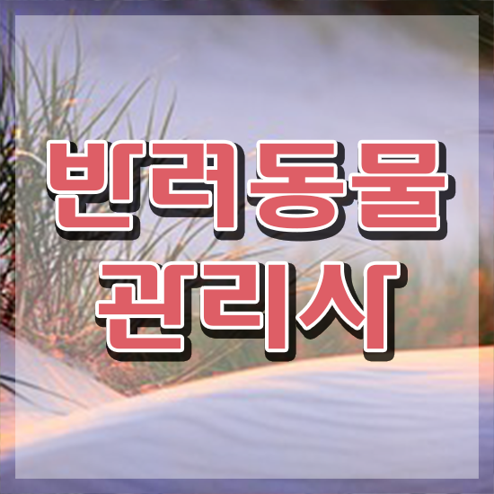  반려동물관리사연봉 , 반려동물관리사 자격증 쉽고 빠르게 합격한 비법 , 취업