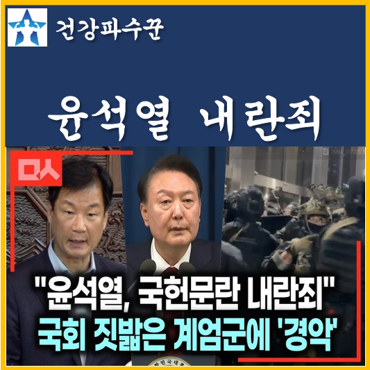 민주당 윤석열 <b>김용현</b> 이상민 <b>내란죄 고발</b> 탄핵 절차 돌입 극강... 