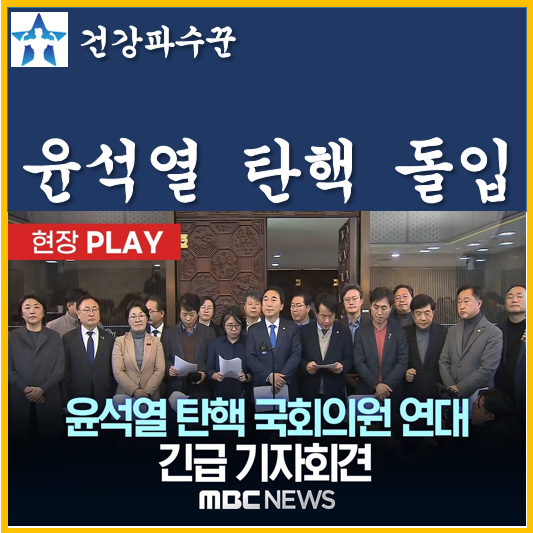 윤석열 탄핵 절차 돌입 <b>탄핵안 발의</b> 김동연 윤 대통령 체포 대상... 