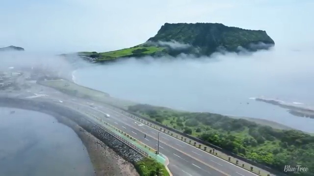  색채심리분석 , 심리분석상담사 자격증 취득했던 후기 정보 필요하시죠