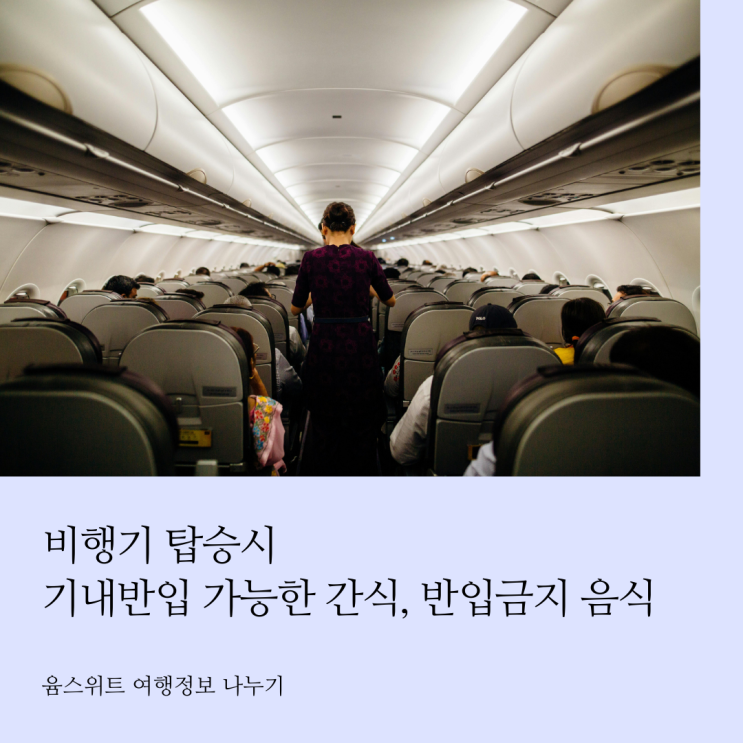  비행기 기내반입 가능 아이 간식 과자 반입금지 음식