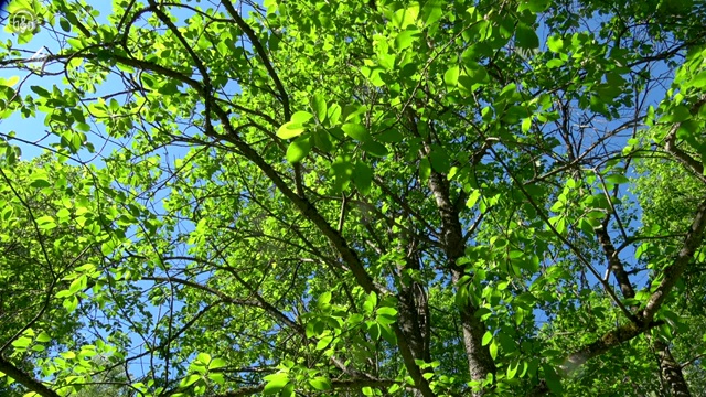  부동산 규제완화 , 부동산자산관리전문가 부동산자산관리사 비용없이 온라인으로 합격 후기