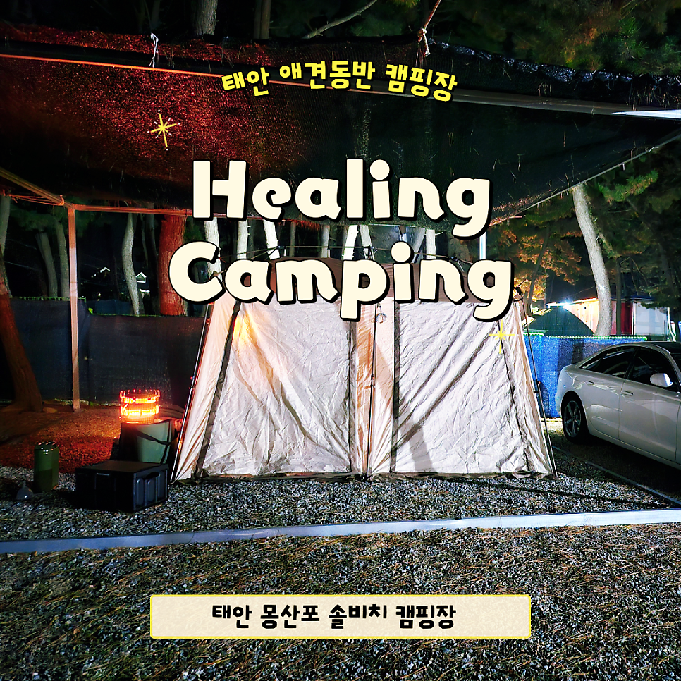 몽산포솔비치캠핑장 사진 1
