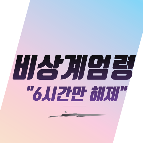  비상계엄령 "6시간만 해제"