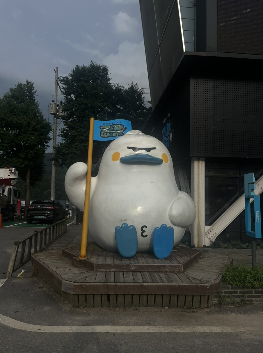 소소로히 사진 5