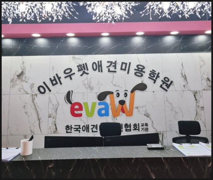  종로 애견미용학원 초보자 교육부터 전문가 성장 과정 까지