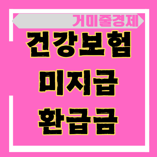  건강보험 미지급 환급금 발생하는 주요 사례? 확인 방법과 신청 절차
