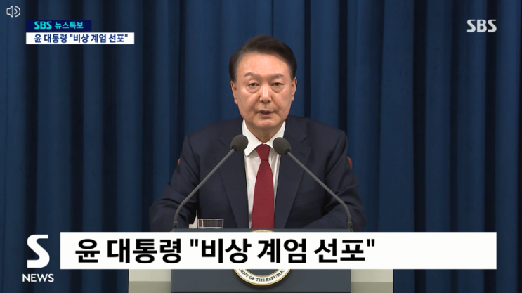  비상계엄령 선포로 알아보는 비상계엄령 뜻과 절차