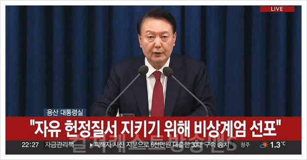  비상계엄 뜻 법 절차 대통령 국회 해제 자유민주주의 사례 군대 치안 선포  환율 급등 국방부 대응 군사재판 폐쇄 518 광주 경제 영향