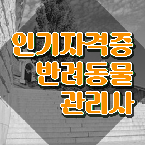  , 반려동물관리사 자격증 응시자격 없이 취득한 방법 여기서 확인하세요