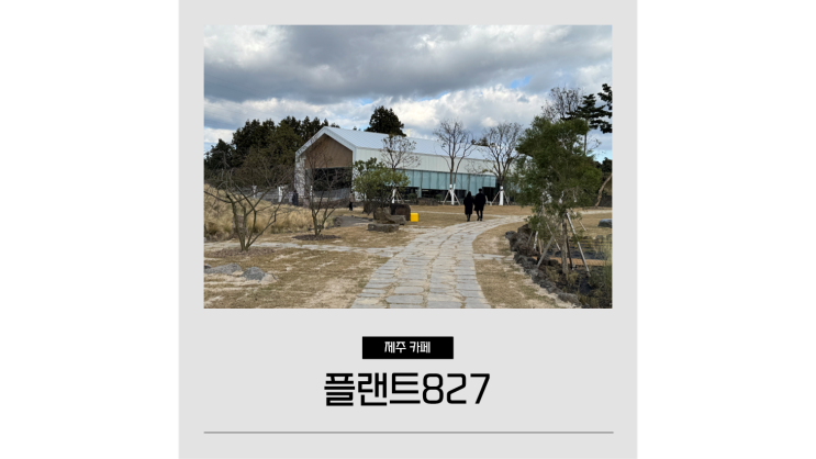 플랜트827 제주공항 근처 대형 이쁜 카페 플랜트827 제주공항 근처 대형 이쁜 카페