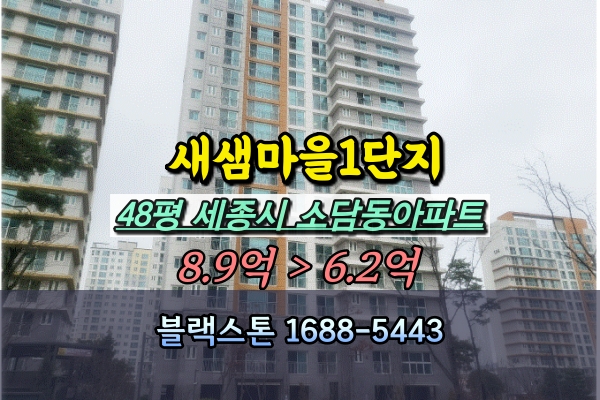  새샘마을1단지 중흥S클래스에듀마크 경매 소담동아파트 48평