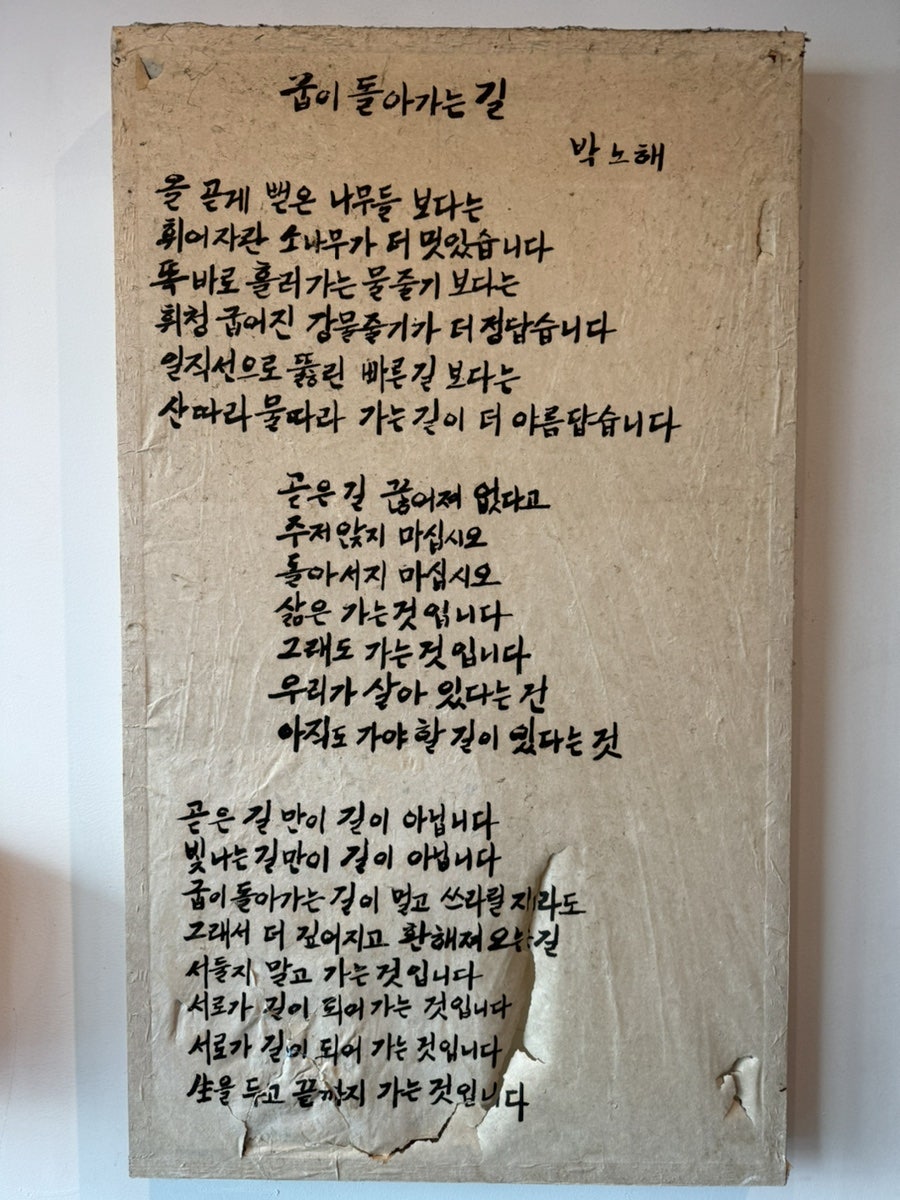들꽃피는언덕 사진 5