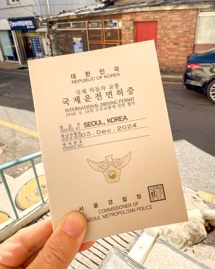 계엄령이래도 꿀잠 자는 나의 일상 by 석영작가
